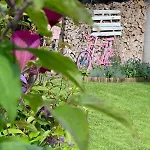 Apartman Leonardo Badem