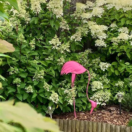 Апартаменты Leonardo